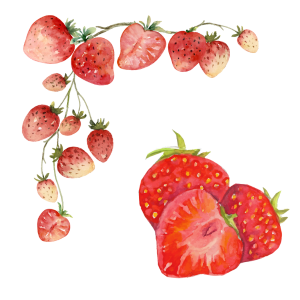 Eugene Garden Club Strawberries