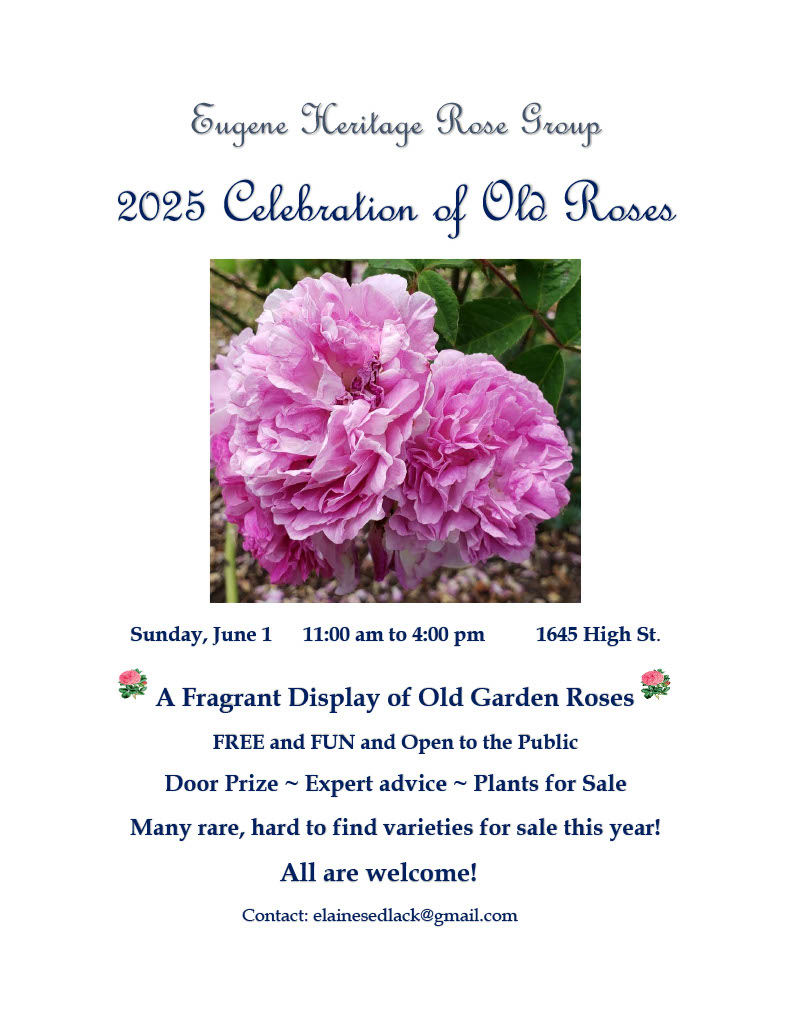 Old Roses